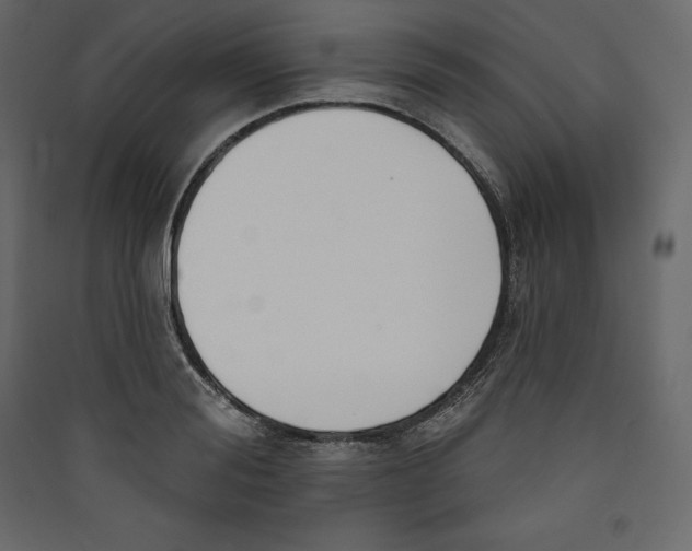 X0000089420988200707131819