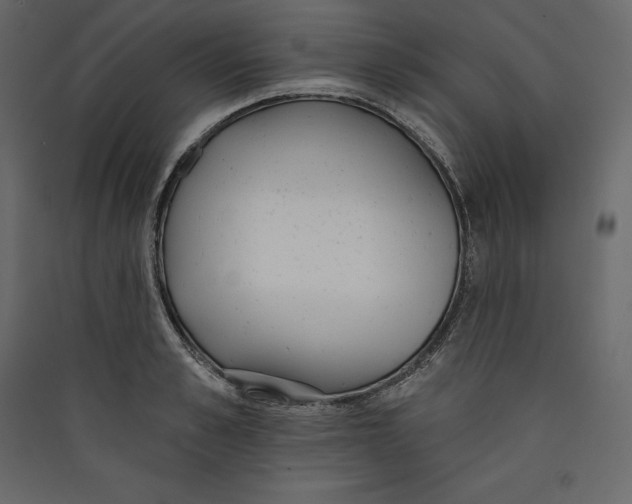 X0000089420989200707131819