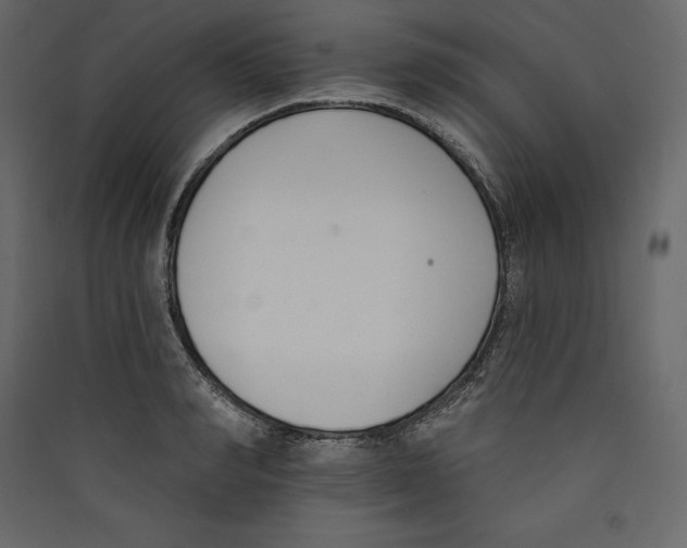 X0000089420990200707131818