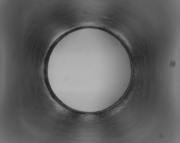 X0000089420991200707131818