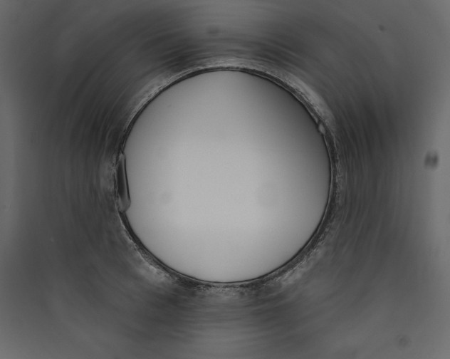 X0000089420993200707131818