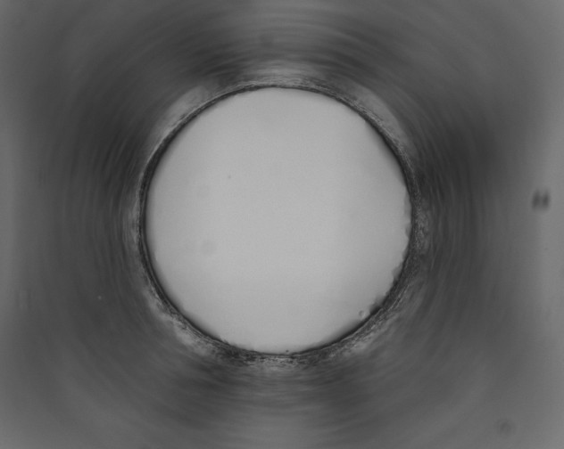 X0000089420994200707131818