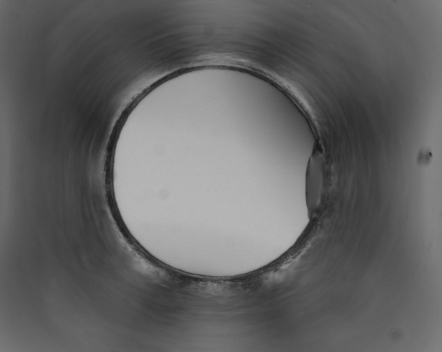 X0000089420995200707131818