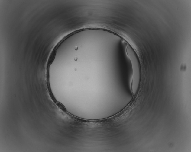 X0000089420996200707131818