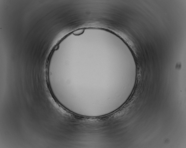 X0000089420998200707131818