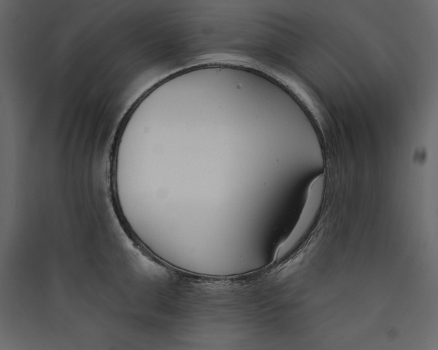 X0000089420999200707131818