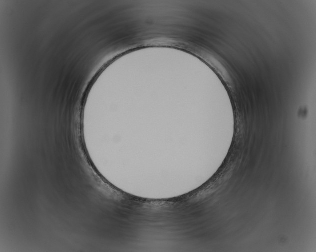 X0000089421000200707131818
