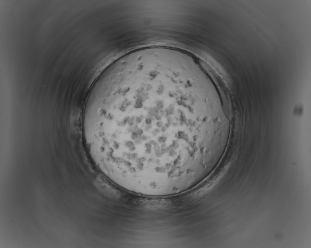 X0000089421001200707131818