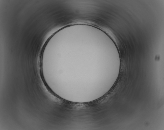 X0000089421003200707131818
