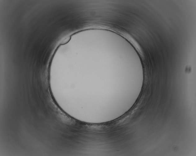 X0000089421004200707131818