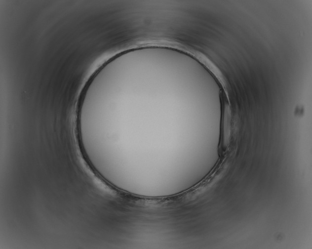 X0000089421005200707131818