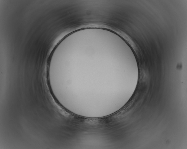 X0000089421006200707131818