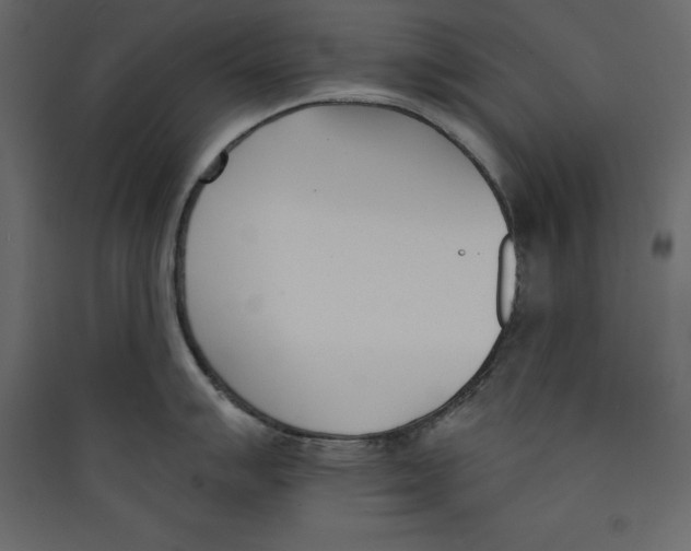 X0000089421007200707131818