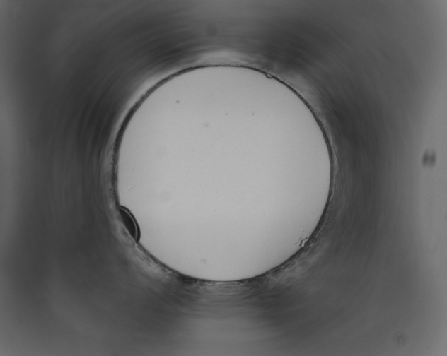 X0000089421008200707131818