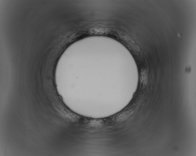 X0000089421009200707131817