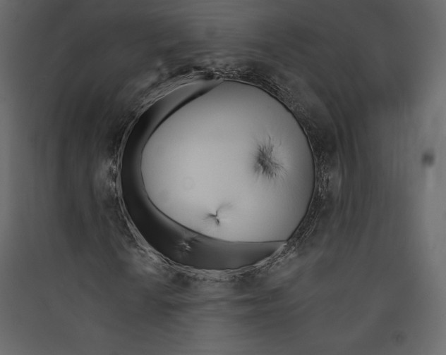 X0000089421010200707131817