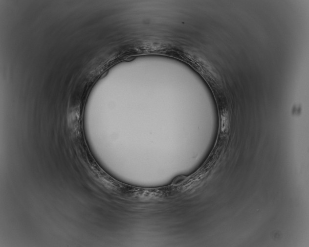 X0000089421011200707131817