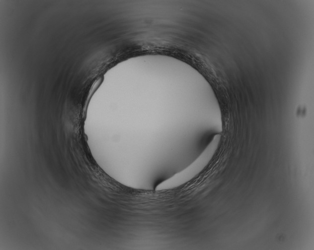 X0000089421012200707131817