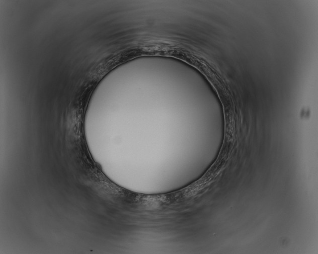 X0000089421013200707131817