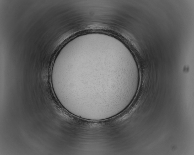 X0000089421017200707131817