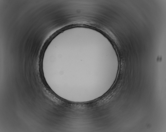 X0000089421020200707131817