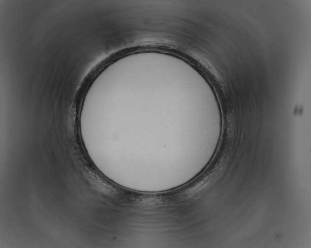 X0000089421021200707131818
