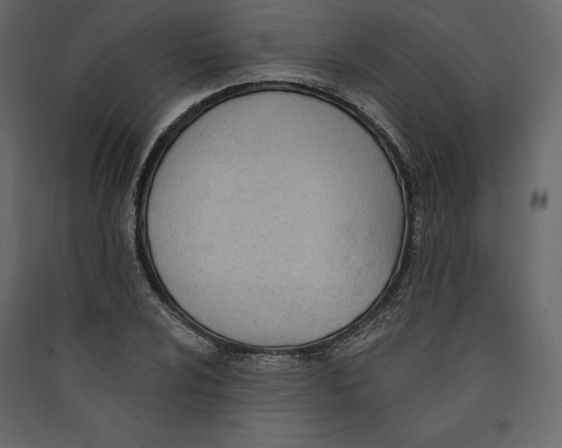 X0000089421024200707131818