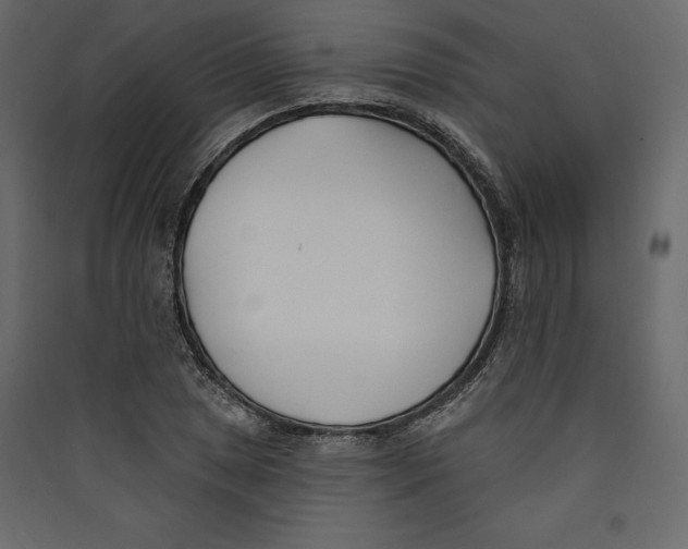 X0000089421025200707131818