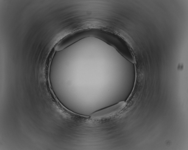X0000089421026200707131818