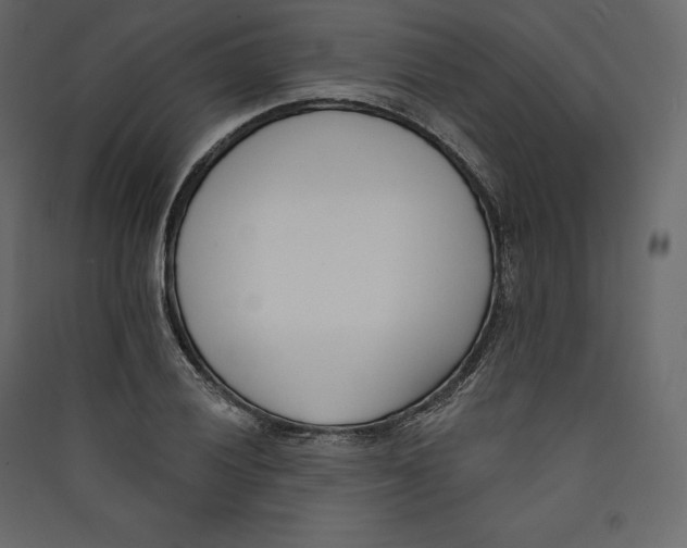 X0000089421028200707131818
