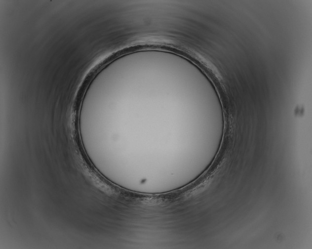 X0000089421029200707131818