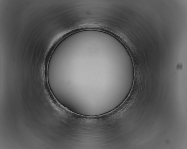 X0000089421030200707131818