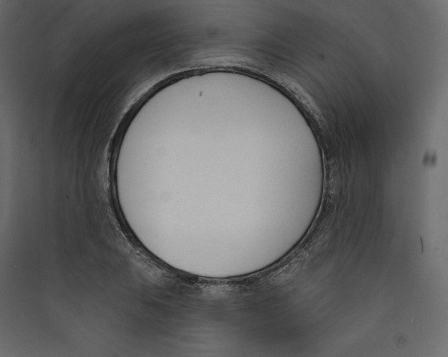 X0000089421031200707131818
