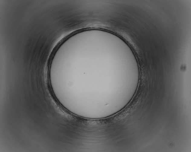 X0000089421032200707131818