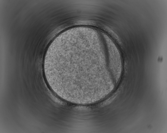 X0000089421033200707131818