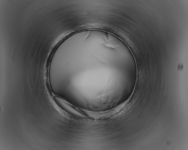 X0000089421034200707131818