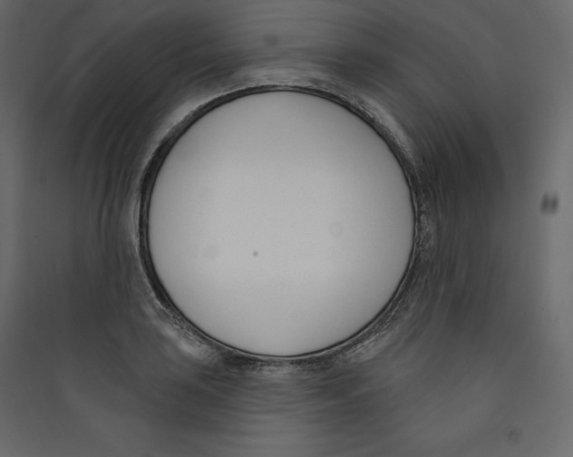 X0000089421035200707131818