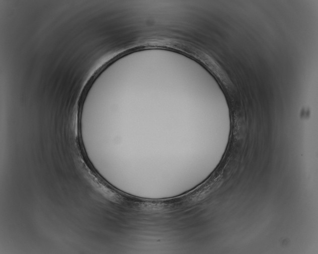 X0000089421036200707131818