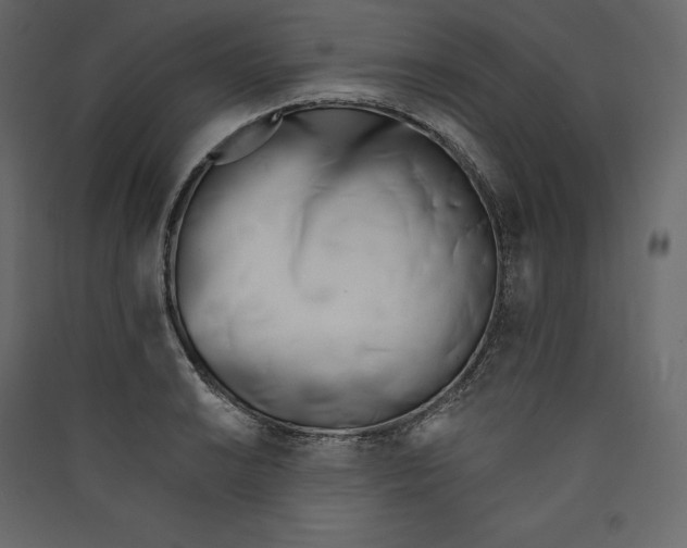 X0000089421038200707131818