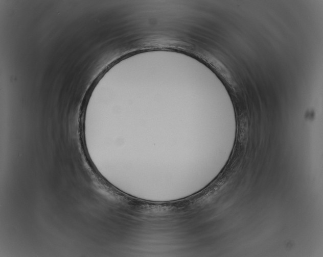 X0000089421039200707131818