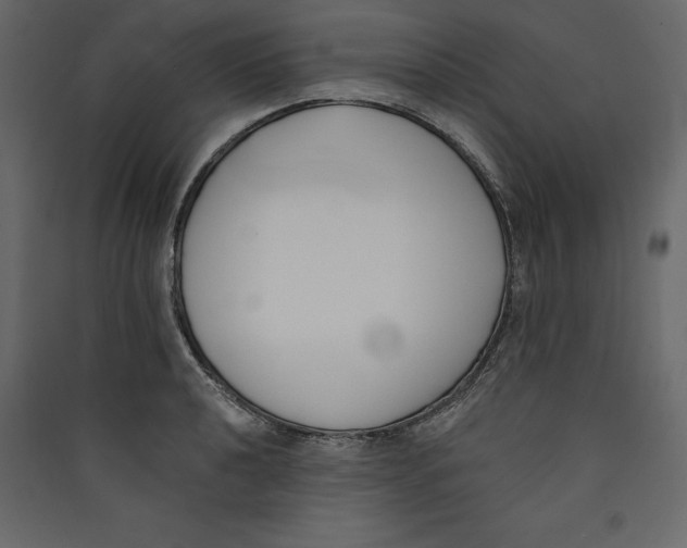 X0000089421040200707131818