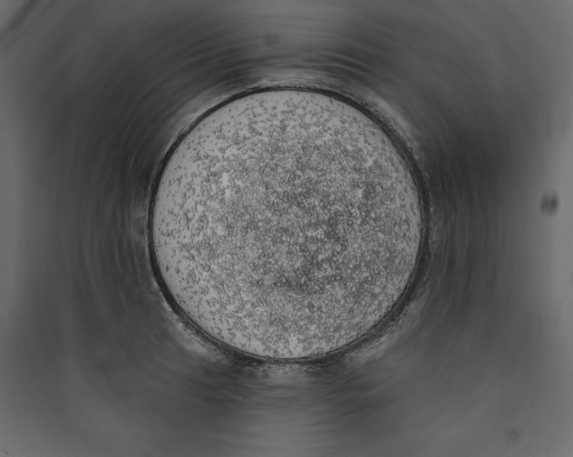 X0000089421041200707131818