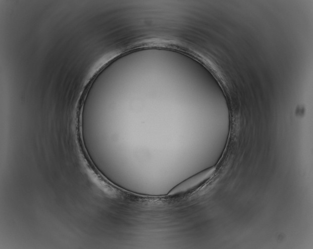X0000089421042200707131818