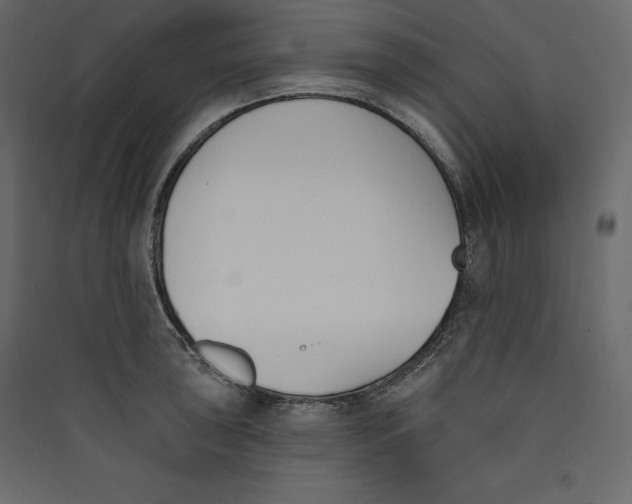 X0000089421043200707131818
