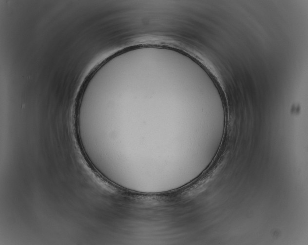 X0000089421045200707131818