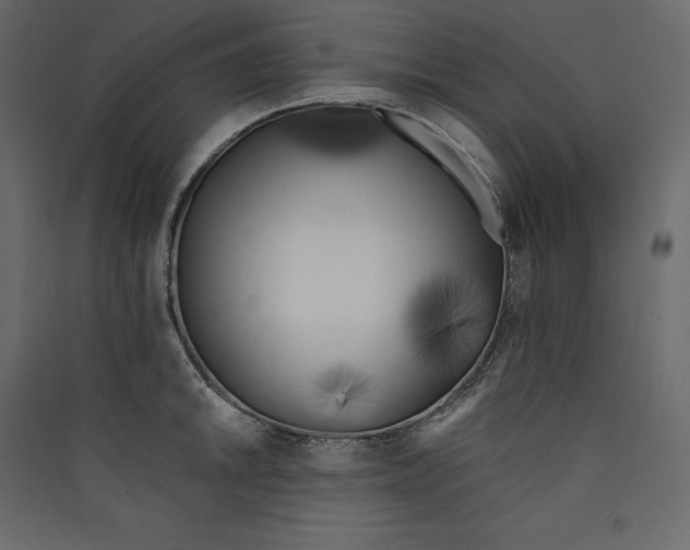 X0000089421046200707131818