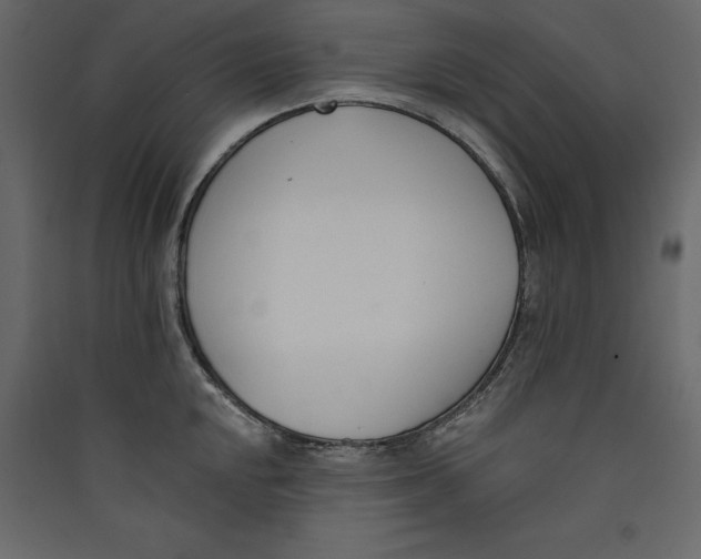 X0000089421048200707131818