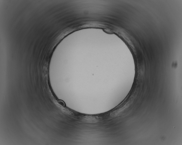 X0000089421049200707131818