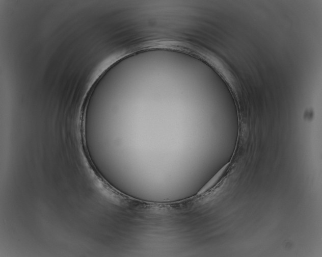 X0000089421050200707131818