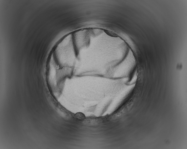X0000089421051200707131818